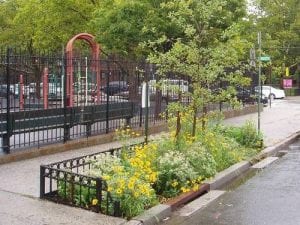 Green Infrastructure