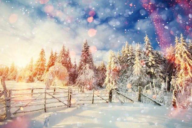Happy Holidays from Roux Associates