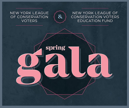 NYLCV 2018 Spring Gala