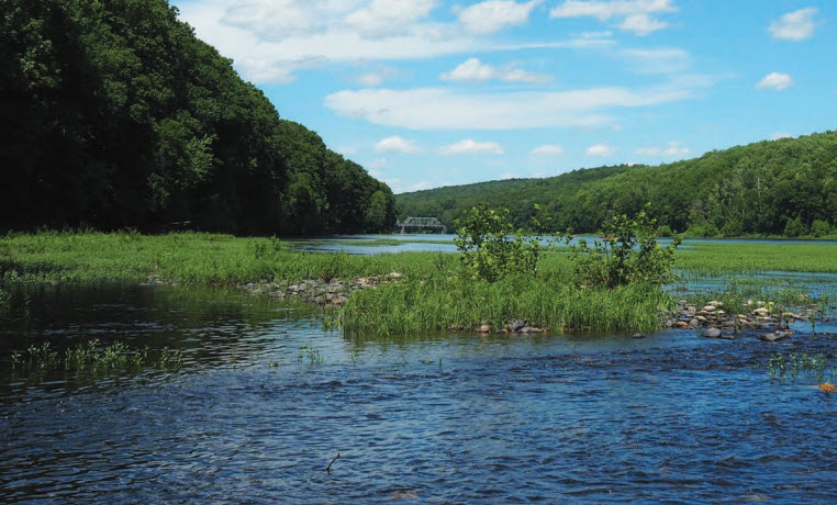 Using Green Infrastructure in the Delaware River Watershed