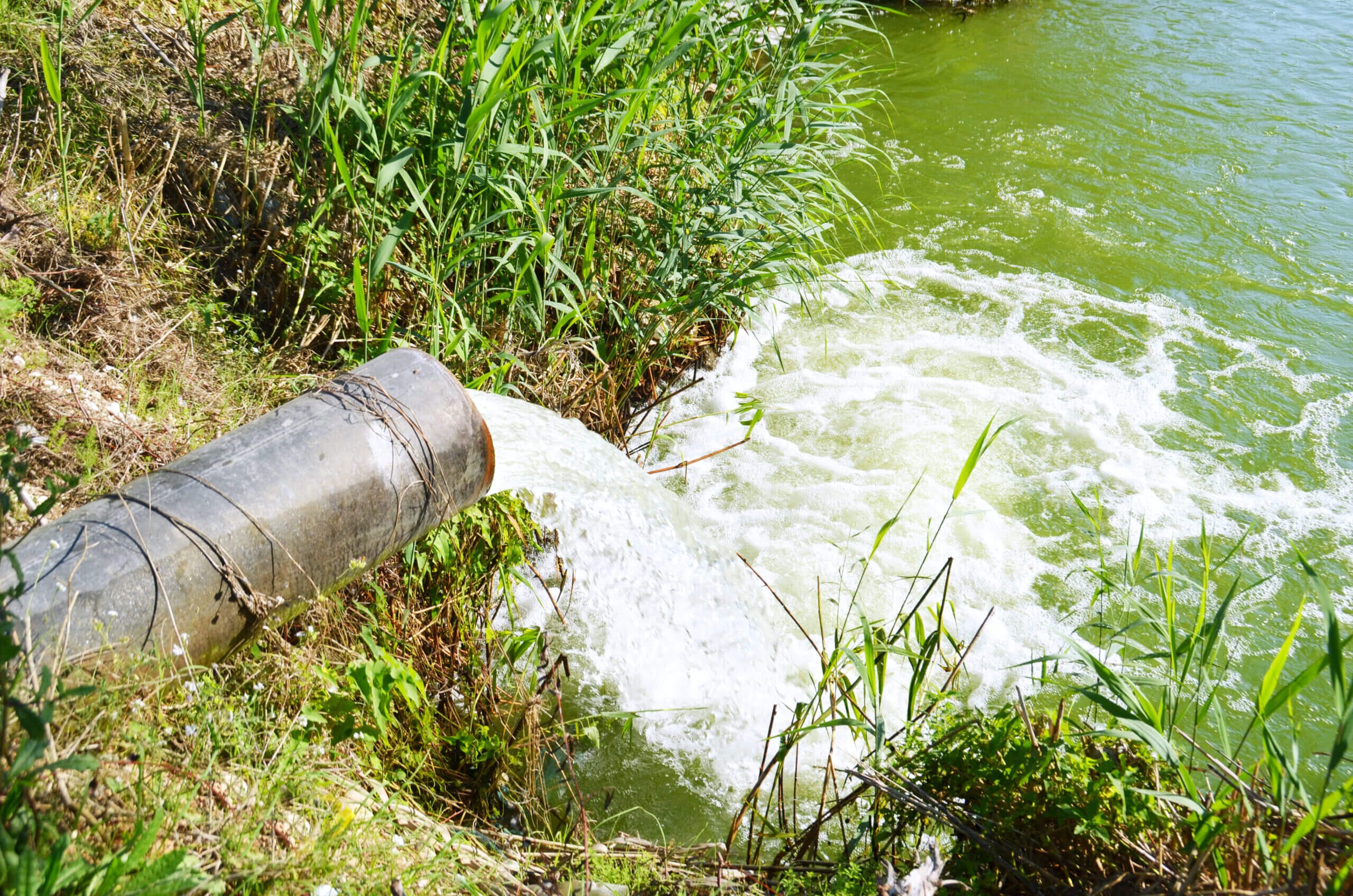 Рост загрязнения воды