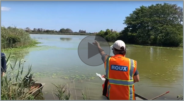 Roux and The Lake Agawam Conservancy Partner to Clean up Lake in Southampton